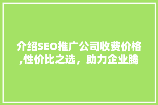 介绍SEO推广公司收费价格,性价比之选，助力企业腾飞