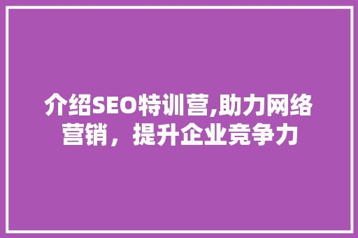 介绍SEO特训营,助力网络营销，提升企业竞争力