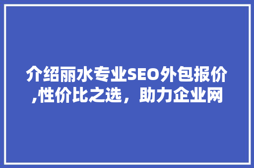 介绍丽水专业SEO外包报价,性价比之选，助力企业网络营销腾飞  第1张