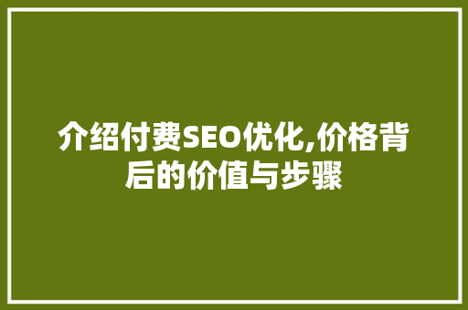 介绍付费SEO优化,价格背后的价值与步骤