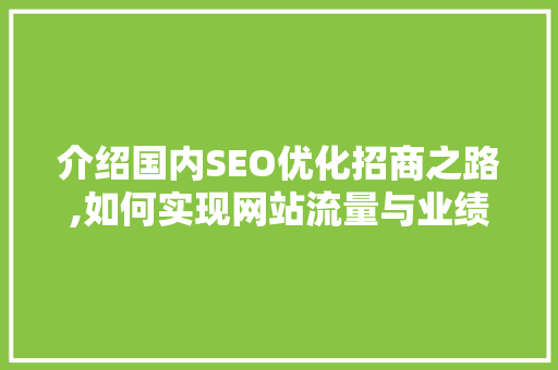 介绍国内SEO优化招商之路,如何实现网站流量与业绩的双重提升