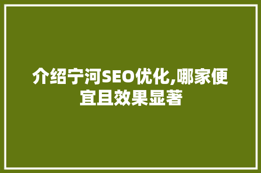 介绍宁河SEO优化,哪家便宜且效果显著