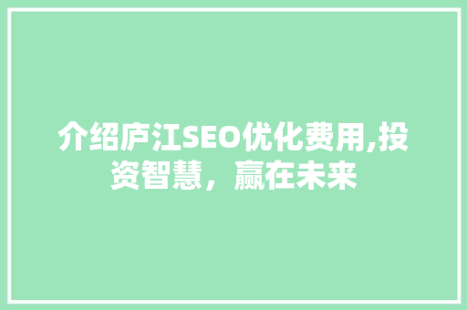 介绍庐江SEO优化费用,投资智慧，赢在未来  第1张