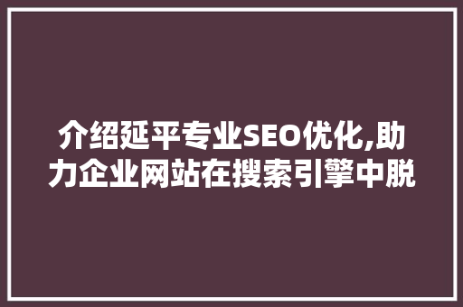 介绍延平专业SEO优化,助力企业网站在搜索引擎中脱颖而出