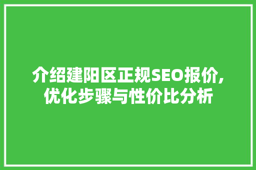 介绍建阳区正规SEO报价,优化步骤与性价比分析