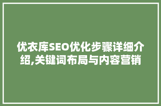 优衣库SEO优化步骤详细介绍,关键词布局与内容营销的完美融合