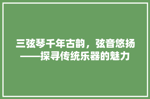 三弦琴千年古韵，弦音悠扬——探寻传统乐器的魅力