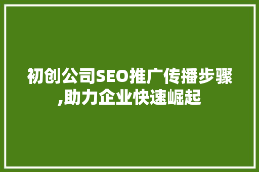 初创公司SEO推广传播步骤,助力企业快速崛起  第1张