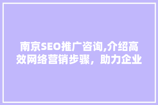南京SEO推广咨询,介绍高效网络营销步骤，助力企业腾飞