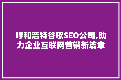 呼和浩特谷歌SEO公司,助力企业互联网营销新篇章