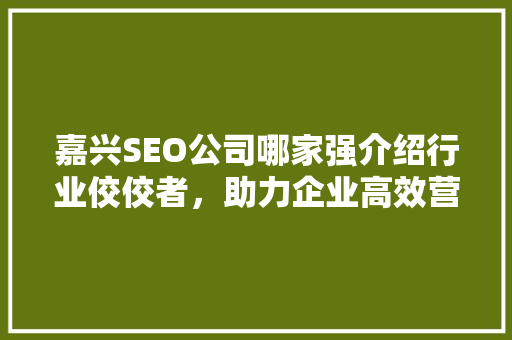 嘉兴SEO公司哪家强介绍行业佼佼者，助力企业高效营销