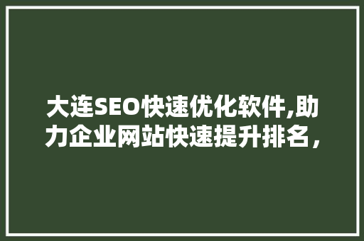大连SEO快速优化软件,助力企业网站快速提升排名，抢占市场先机