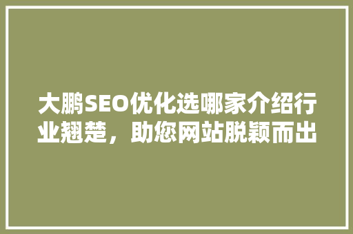 大鹏SEO优化选哪家介绍行业翘楚，助您网站脱颖而出