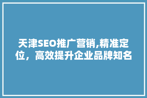 天津SEO推广营销,精准定位，高效提升企业品牌知名度