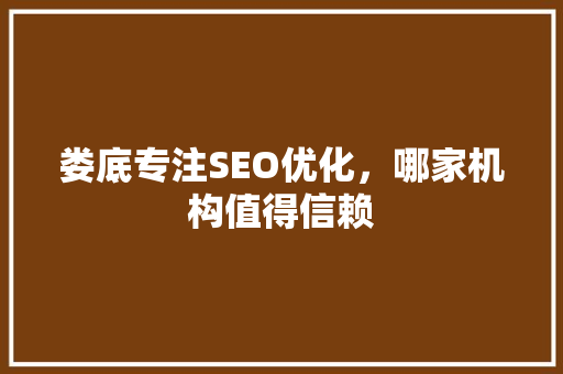 娄底专注SEO优化，哪家机构值得信赖