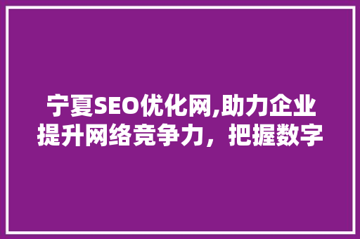 宁夏SEO优化网,助力企业提升网络竞争力，把握数字化时代脉搏