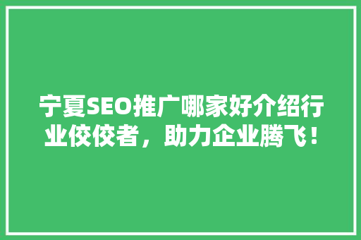 宁夏SEO推广哪家好介绍行业佼佼者，助力企业腾飞！