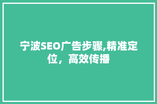 宁波SEO广告步骤,精准定位，高效传播