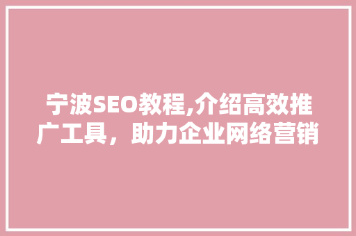 宁波SEO教程,介绍高效推广工具，助力企业网络营销腾飞  第1张