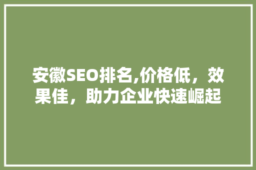 安徽SEO排名,价格低，效果佳，助力企业快速崛起