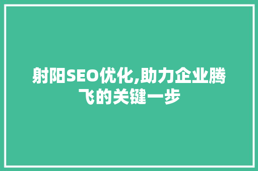 射阳SEO优化,助力企业腾飞的关键一步