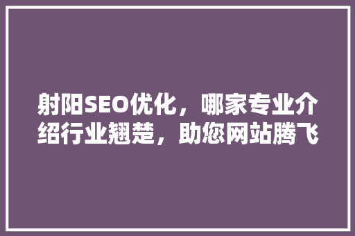 射阳SEO优化，哪家专业介绍行业翘楚，助您网站腾飞