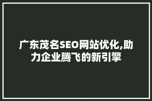 广东茂名SEO网站优化,助力企业腾飞的新引擎