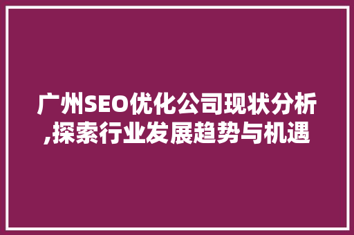 广州SEO优化公司现状分析,探索行业发展趋势与机遇