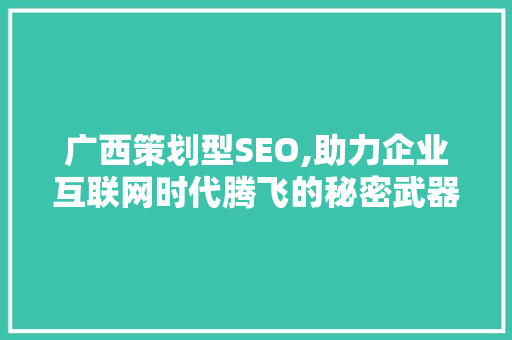 广西策划型SEO,助力企业互联网时代腾飞的秘密武器