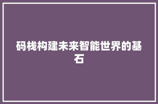 码栈构建未来智能世界的基石
