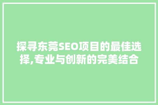 探寻东莞SEO项目的最佳选择,专业与创新的完美结合