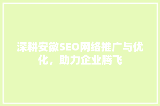 深耕安徽SEO网络推广与优化，助力企业腾飞