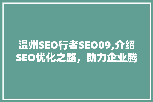 温州SEO行者SEO09,介绍SEO优化之路，助力企业腾飞
