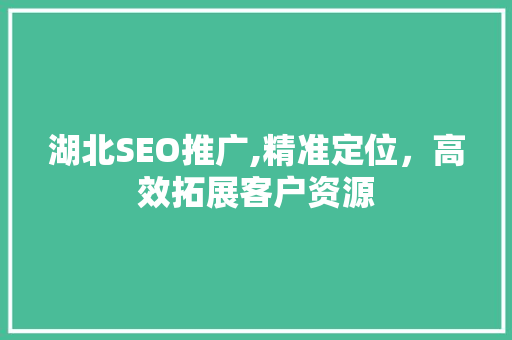 湖北SEO推广,精准定位，高效拓展客户资源