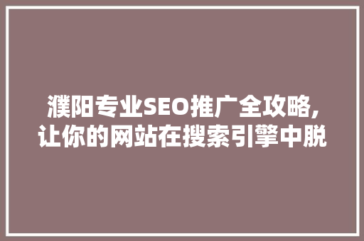 濮阳专业SEO推广全攻略,让你的网站在搜索引擎中脱颖而出