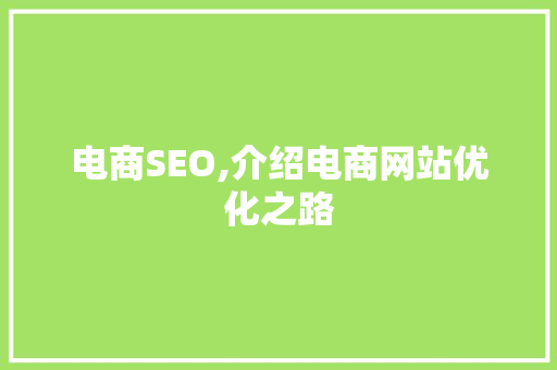 电商SEO,介绍电商网站优化之路