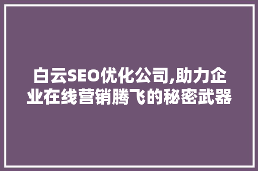 白云SEO优化公司,助力企业在线营销腾飞的秘密武器
