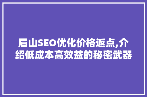 眉山SEO优化价格返点,介绍低成本高效益的秘密武器