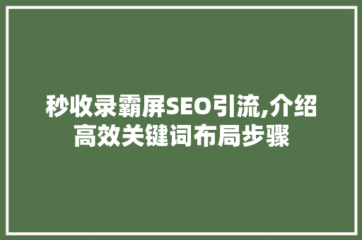 秒收录霸屏SEO引流,介绍高效关键词布局步骤  第1张