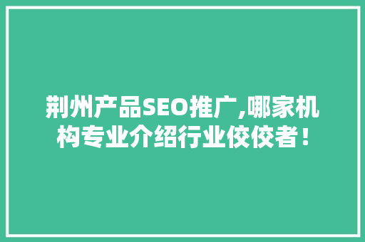 荆州产品SEO推广,哪家机构专业介绍行业佼佼者！