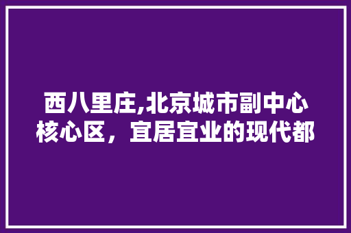 西八里庄,北京城市副中心核心区，宜居宜业的现代都市典范