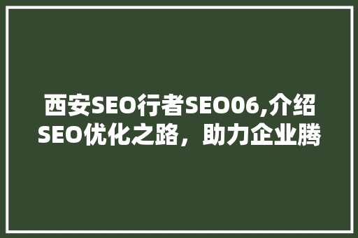 西安SEO行者SEO06,介绍SEO优化之路，助力企业腾飞