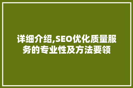详细介绍,SEO优化质量服务的专业性及方法要领