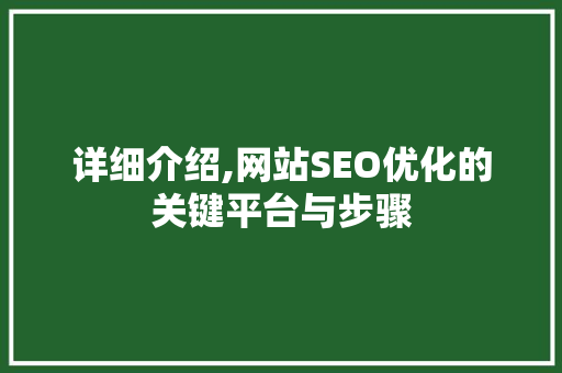 详细介绍,网站SEO优化的关键平台与步骤