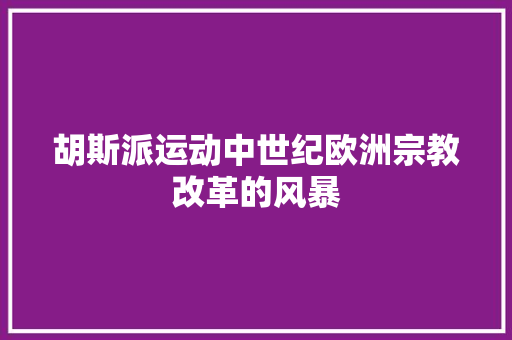 胡斯派运动中世纪欧洲宗教改革的风暴