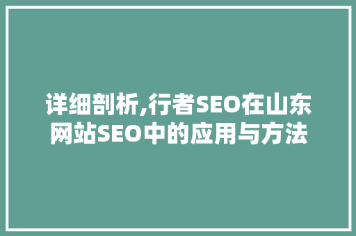 详细剖析,行者SEO在山东网站SEO中的应用与方法