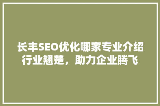 长丰SEO优化哪家专业介绍行业翘楚，助力企业腾飞