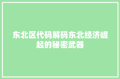 东北区代码解码东北经济崛起的秘密武器