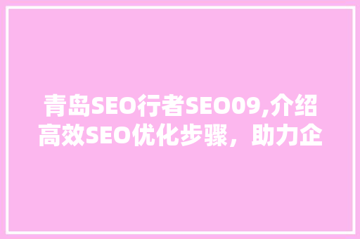 青岛SEO行者SEO09,介绍高效SEO优化步骤，助力企业互联网发展