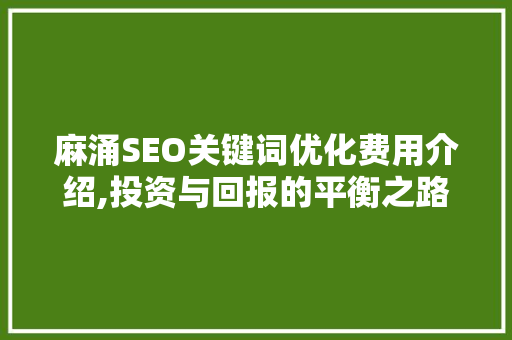 麻涌SEO关键词优化费用介绍,投资与回报的平衡之路